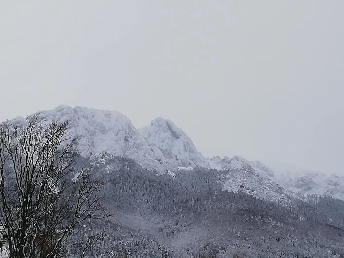 Apartamenty I Pokoje Bacowka Centrum Zakopane 0*,  Poland